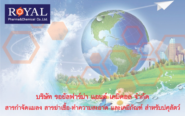 RPC--Front-