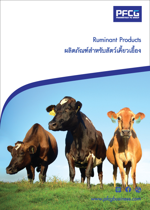 ผลิตภัณฑ์สำหรับสัตว์เคี้ยวเอื้อง